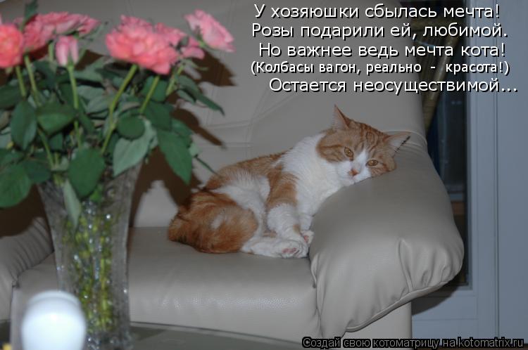 Розы подарили ей, любимой. Но важнее ведь мечта кота! (Колбасы вагон, реально - красота!) Остается ... Котоматрица: Розы подарили ей, любимой. Но важнее ведь мечта кота! (Колбасы вагон, реально - красота!) Остается неосуществимой….. У хозяюшки сбылась мечт