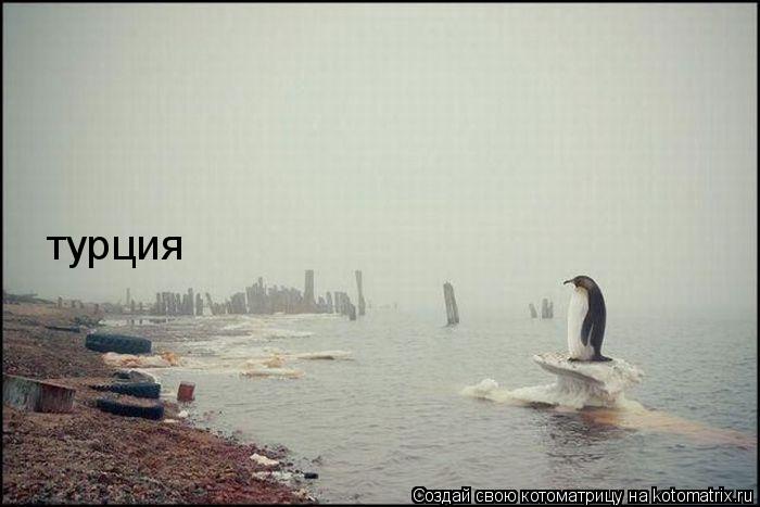 Котоматрица: турция