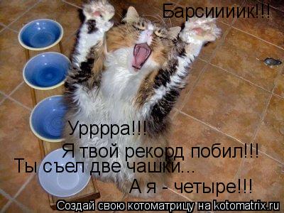 Котоматрица: Барсиииик!!! Урррра!!! Я твой рекорд побил!!! Ты съел две чашки... А я - четыре!!!