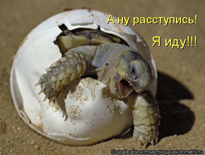 Котоматрица: А ну расступись! Я иду!!!