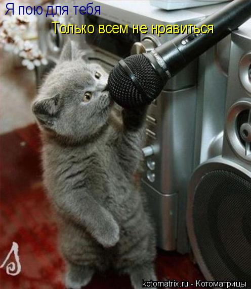 Котоматрица: Я пою для тебя  Только всем не нравиться