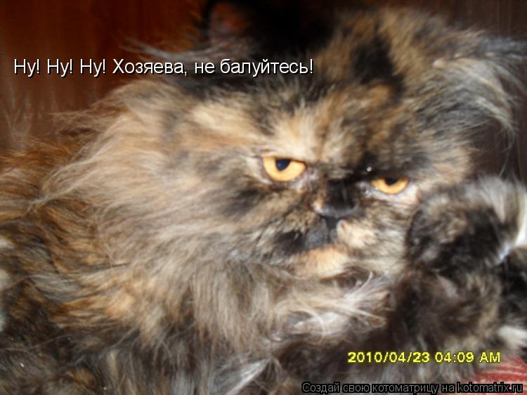Котоматрица: Ну! Ну! Ну! Хозяева, не балуйтесь!
