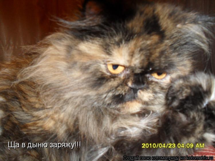 Котоматрица: Ща в дыню заряжу!!!