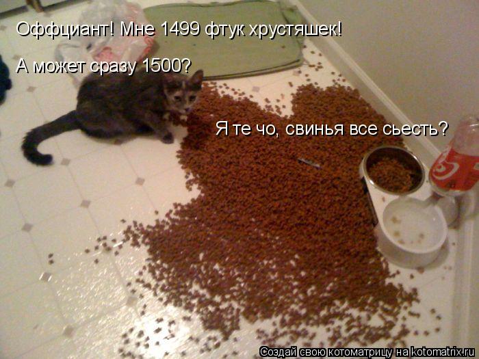 Котоматрица: Оффциант! Мне 1499 фтук хрустяшек! А может сразу 1500? Я те чо, свинья все сьесть?