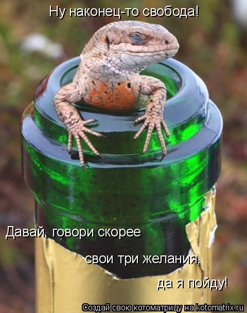 Ну наконец-то свобода! Давай, говори скорее свои три желания, да я пойду!... Котоматрица: Ну наконец-то свобода! Давай, говори скорее свои три желания, да я пойду!