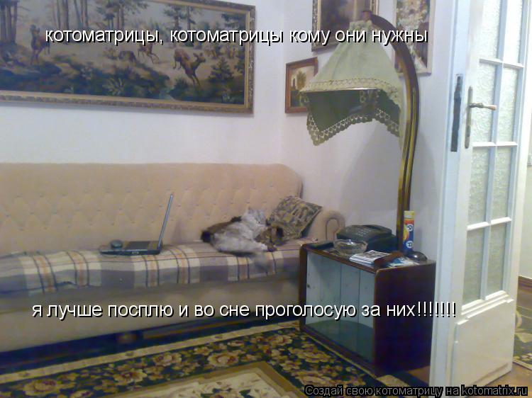 Котоматрица: котоматрицы, котоматрицы кому они нужны я лучше посплю и во сне проголосую за них!!!!!!!