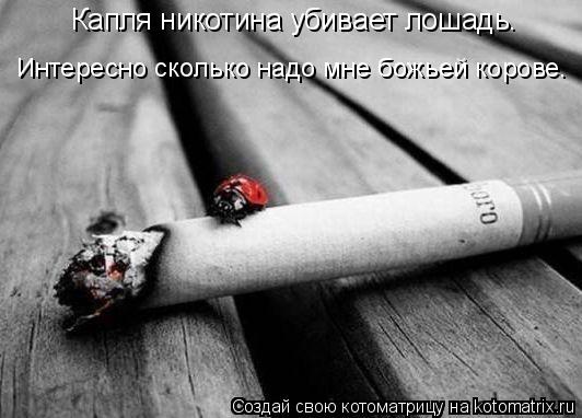 Капля никотина убивает лошадь. Интересно сколько надо мне божьей корове.... Котоматрица: Капля никотина убивает лошадь. Интересно сколько надо мне божьей корове.