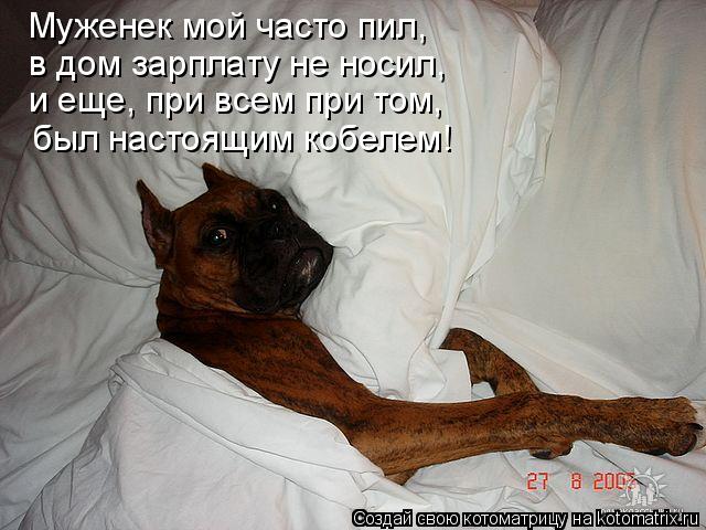 Муженек мой часто пил, в дом зарплату не носил, и еще, при всем при том, был настоящим кобелем!... Котоматрица: Муженек мой часто пил, в дом зарплату не носил, и еще, при всем при том, был настоящим кобелем!