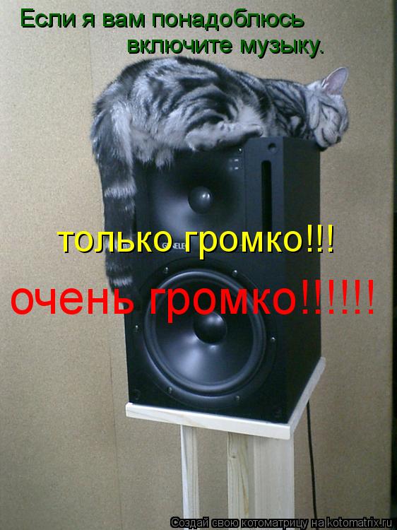 Если я вам понадоблюсь включите музыку. только громко!!! очень громко!!!!!!... Котоматрица: Если я вам понадоблюсь включите музыку. только громко!!! очень громко!!!!!!