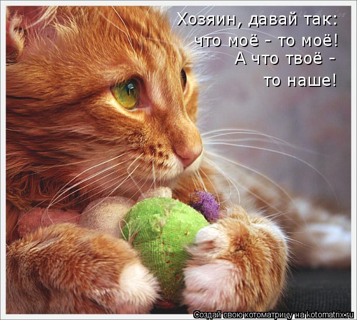 Котоматрица: Хозяин, давай так: что моё - то моё! то наше! А что твоё -