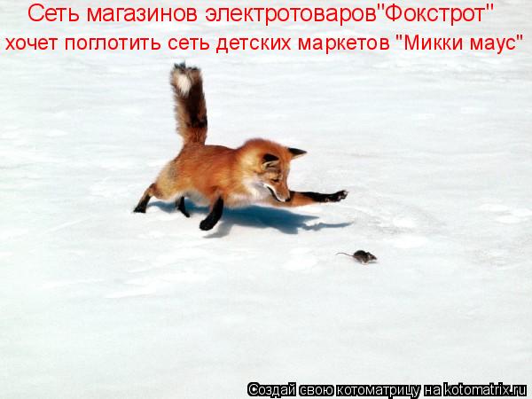 Сеть магазинов электротоваров"Фокстрот" хочет поглотить сеть детских маркетов "Микки маус"... Котоматрица: Сеть магазинов электротоваров"Фокстрот" хочет поглотить сеть детских маркетов "Микки маус"