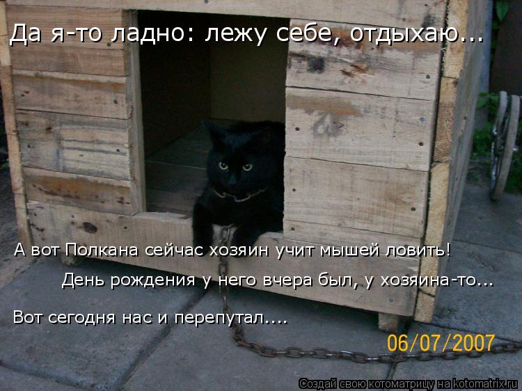 Котоматрица: Да я-то ладно: лежу себе, отдыхаю... А вот Полкана сейчас хозяин учит мышей ловить! Вот сегодня нас и перепутал.... День рождения у него вчера бы