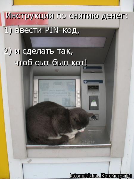 Инструкция по снятию денег: 1) ввести PIN-код, 2) и сделать так, чтоб сыт был кот!... Котоматрица: Инструкция по снятию денег: 1) ввести PIN-код, 2) и сделать так, чтоб сыт был кот!