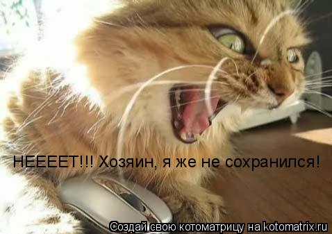 Котоматрица: НЕЕЕЕТ!!! Хозяин, я же не сохранился!