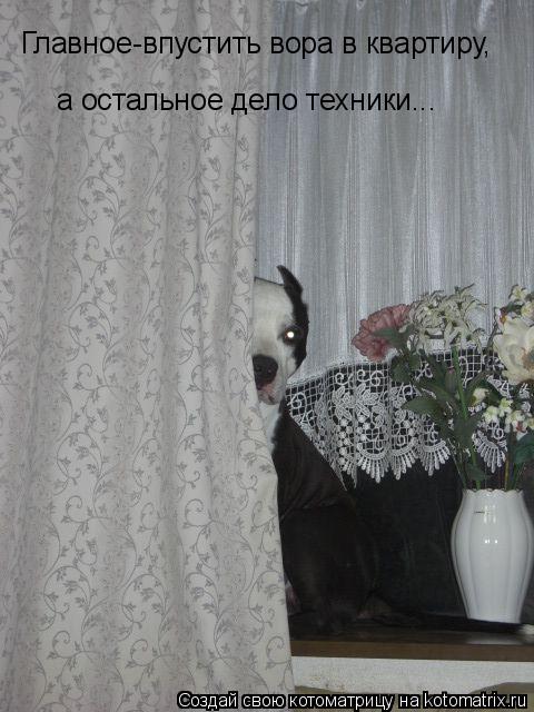 Главное-впустить вора в квартиру, а остальное дело техники...... Котоматрица: Главное-впустить вора в квартиру, а остальное дело техники...