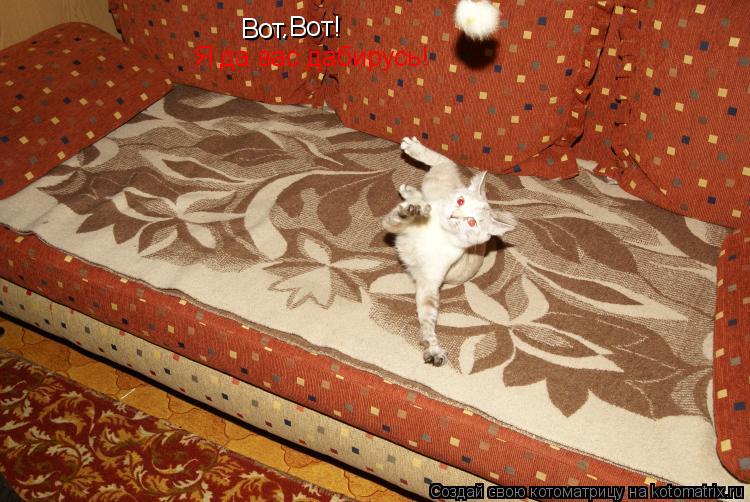 Котоматрица: Вот. .Вот! Я да вас дабирусь!