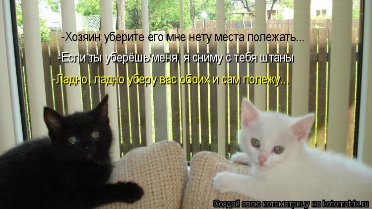 Котоматрица: -Хозяин уберите его мне нету места полежать... -Если ты уберёшь меня, я сниму с тебя штаны -Ладно, ладно уберу вас обоих и сам полежу...