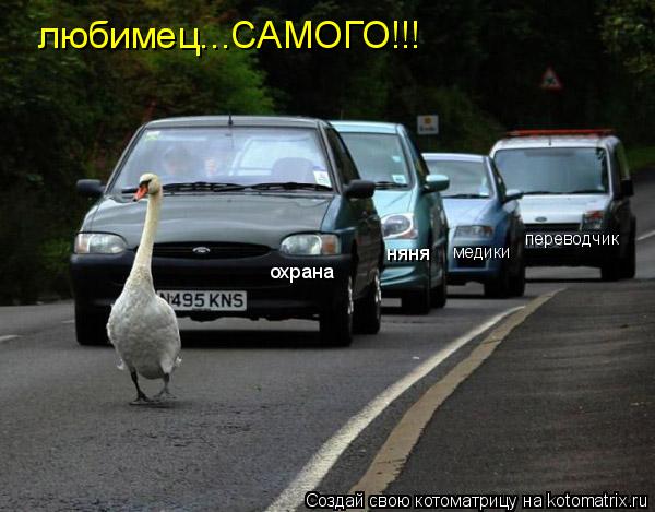 охрана няня переводчик медики любимец...САМОГО!!!... Котоматрица: охрана няня переводчик медики любимец...САМОГО!!!