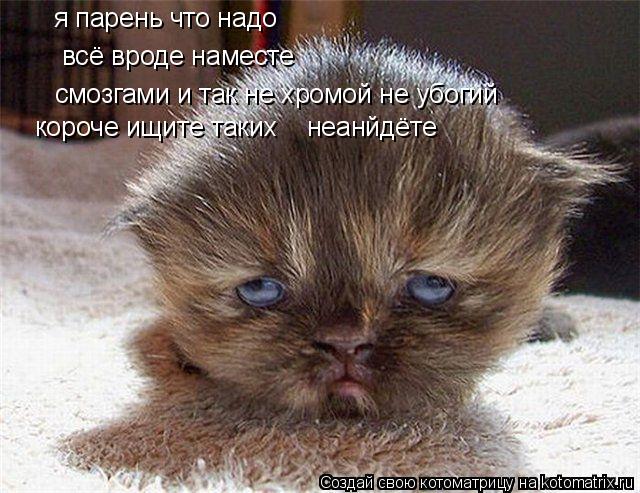я парень что надо всё вроде наместе смозгами и так не хромой не убогий короче ищите таких неанйдёт... Котоматрица: я парень что надо всё вроде наместе смозгами и так не хромой не убогий короче ищите таких неанйдёте
