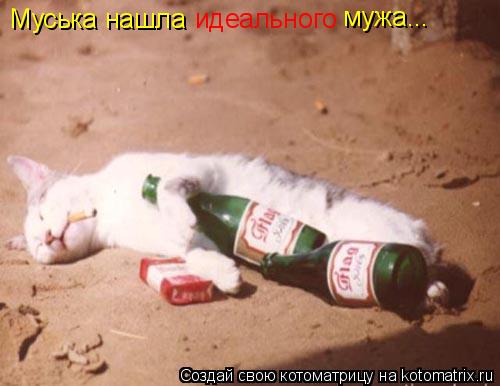 Муська нашла идеального мужа...... Котоматрица: Муська нашла идеального мужа...