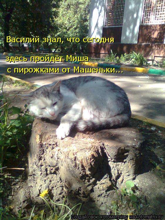 Василий знал, что сегодня здесь пройдёт Миша с пирожками от Машеньки...... Котоматрица: Василий знал, что сегодня здесь пройдёт Миша с пирожками от Машеньки...