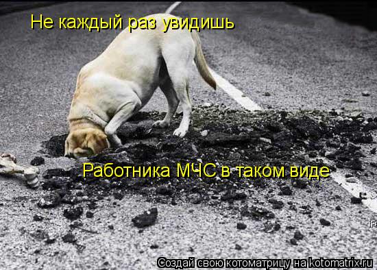 Котоматрица: Не каждый раз увидишь  Работника МЧС в таком виде