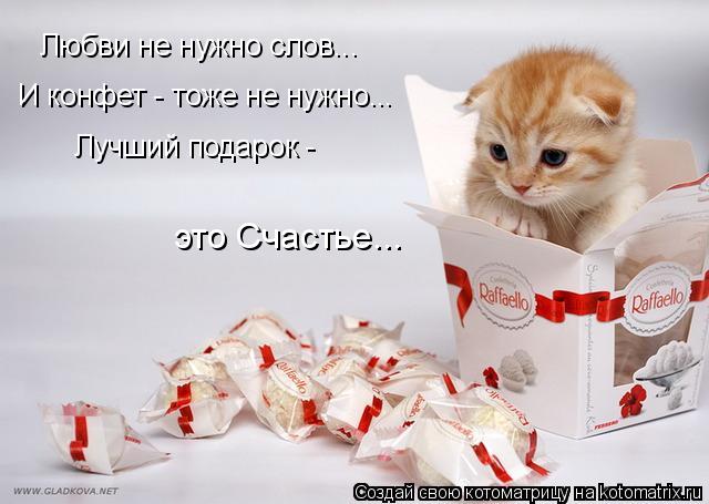 Котоматрица: Любви не нужно слов... И конфет - тоже не нужно... Лучший подарок -  это Счастье...