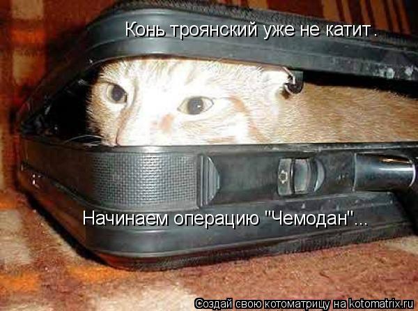 Котоматрица: Конь троянский уже не катит . Начинаем операцию "Чемодан"...