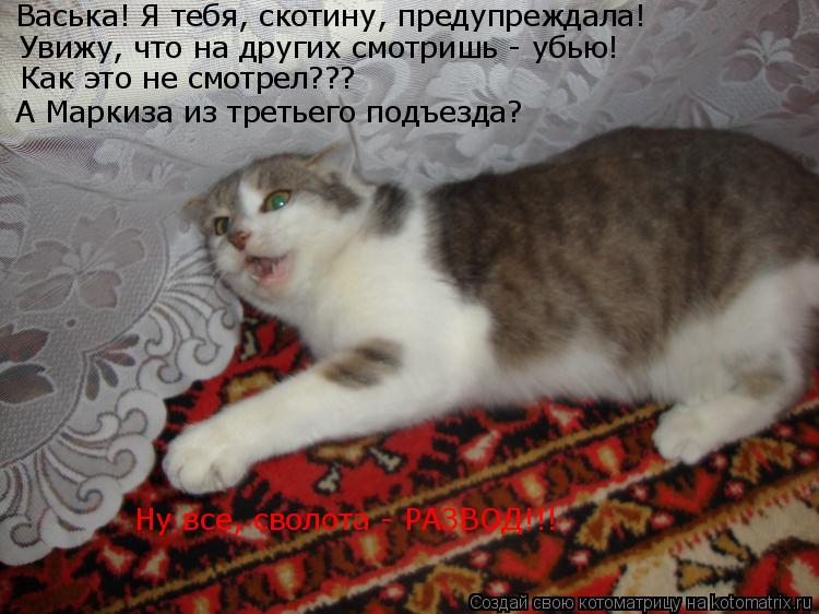 Котоматрица: Васька! Я тебя, скотину, предупреждала!  Увижу, что на других смотришь - убью! Как это не смотрел??? А Маркиза из третьего подъезда? Ну все, свол