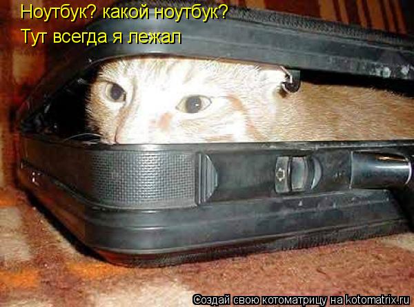 Котоматрица: Ноутбук? какой ноутбук? Тут всегда я лежал