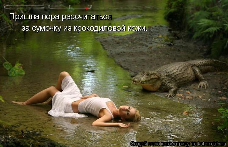 Котоматрица: Пришла пора рассчитаться  за сумочку из крокодиловой кожи...