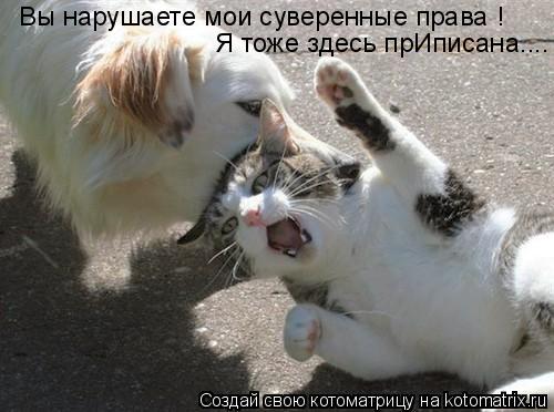 Котоматрица: Вы нарушаете мои суверенные права ! Я тоже здесь прИписана....