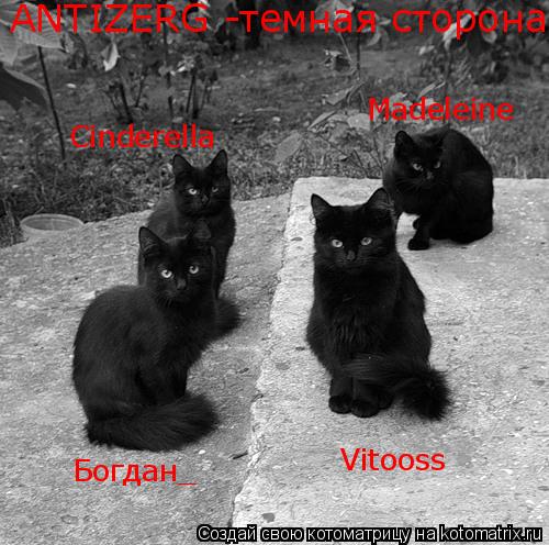 Богдан_ Vitooss Cinderella Madeleine ANTIZERG -темная сторона... Котоматрица: Богдан_ Vitooss Cinderella Madeleine ANTIZERG -темная сторона