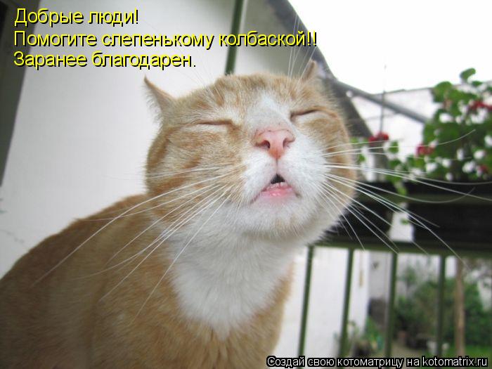 Добрые люди! Помогите слепенькому колбаской!! Заранее благодарен.... Котоматрица: Добрые люди! Помогите слепенькому колбаской!! Заранее благодарен.