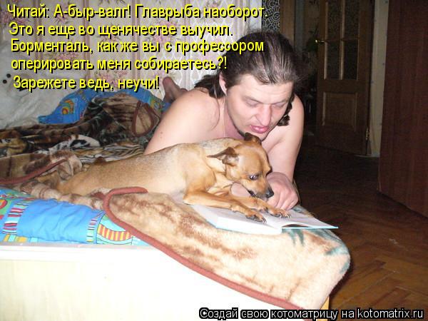 Читай: А-быр-валг! Главрыба наоборот. Это я еще во щенячестве выучил. Борменталь, как же вы с профес... Котоматрица: Читай: А-быр-валг! Главрыба наоборот. Это я еще во щенячестве выучил. Борменталь, как же вы с профессором оперировать меня собираетесь?! Зар
