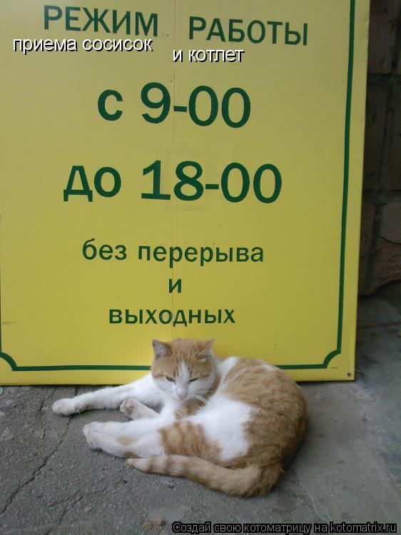 приема сосисок и котлет... Котоматрица: приема сосисок и котлет