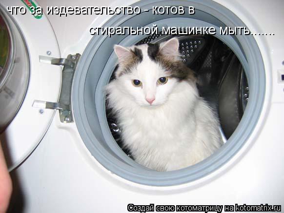 что за издевательство - котов в стиральной машинке мыть.......... Котоматрица: что за издевательство - котов в стиральной машинке мыть.......