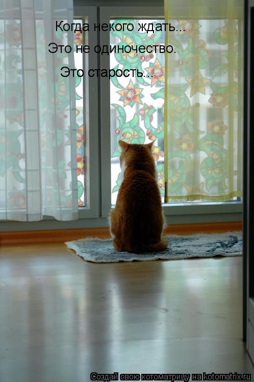 Когда некого ждать... Это не одиночество… Это старость... Это старость...... Котоматрица: Когда некого ждать... Это не одиночество… Это старость... Это старость...