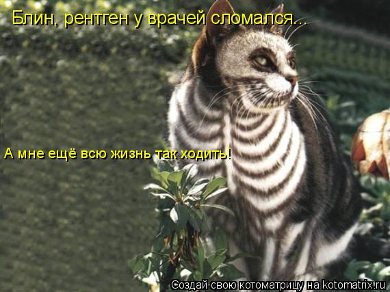 Блин, рентген у врачей сломался... А мне ещё всю жизнь так ходить!... Котоматрица: Блин, рентген у врачей сломался... А мне ещё всю жизнь так ходить!
