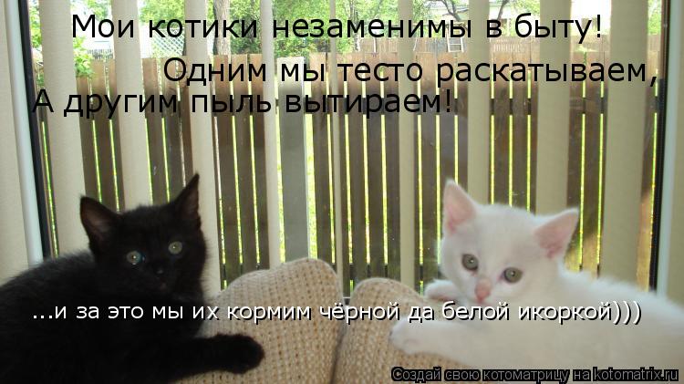 Котоматрица: Мои котики незаменимы в быту! Одним мы тесто раскатываем, А другим пыль вытираем! ...и за это мы их кормим чёрной да белой икоркой)))