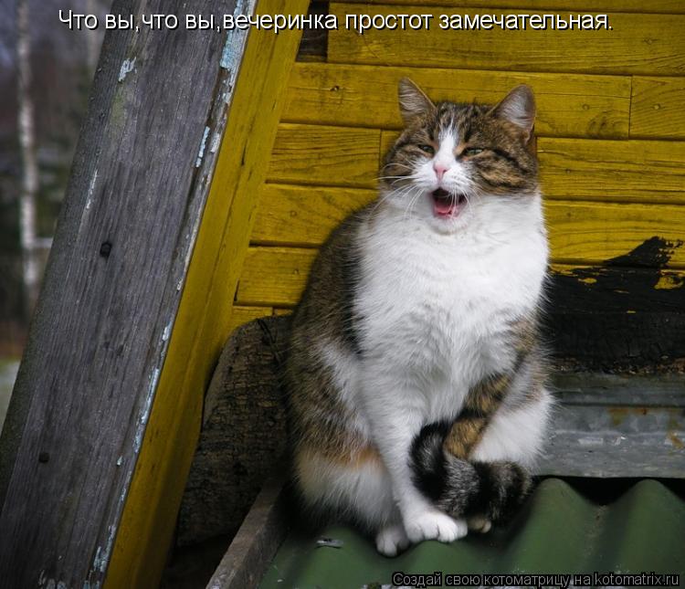 Котоматрица: Что вы,что вы,вечеринка простот замечательная.