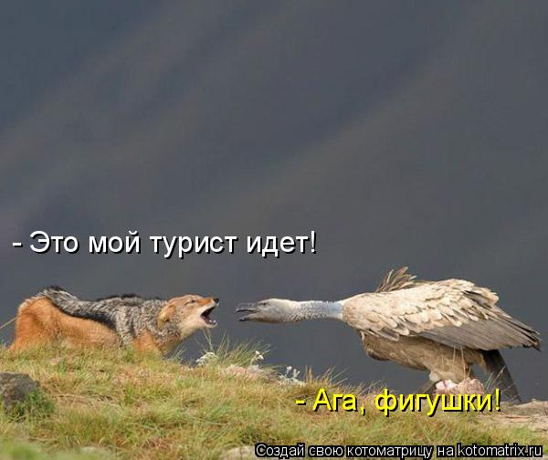Котоматрица: - Это мой турист идет! - Ага, фигушки!