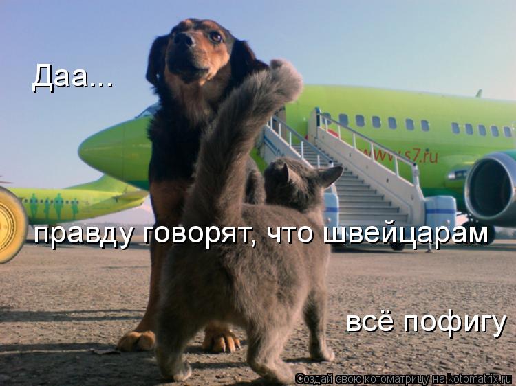 Котоматрица: Даа... правду говорят, что швейцарам всё пофигу