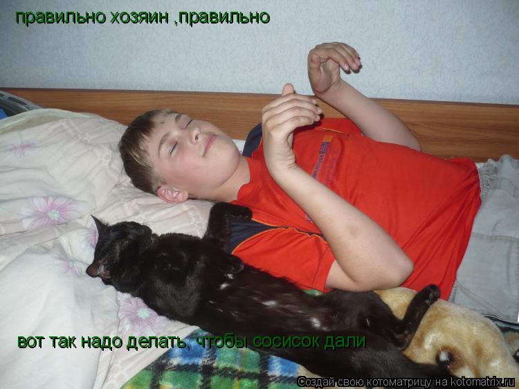 правильно хозяин ,правильно вот так надо делать, чтобы сосисок дали... Котоматрица: правильно хозяин ,правильно вот так надо делать, чтобы сосисок дали