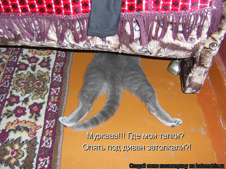 Муркааа!!! Где мои тапки? Опять под диван затолкали?!... Котоматрица: Муркааа!!! Где мои тапки? Опять под диван затолкали?!