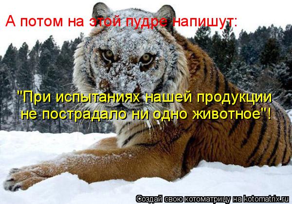 А потом на этой пудре напишут: "При испытаниях нашей продукции не пострадало ни одно животное"!... Котоматрица: А потом на этой пудре напишут: "При испытаниях нашей продукции не пострадало ни одно животное"!