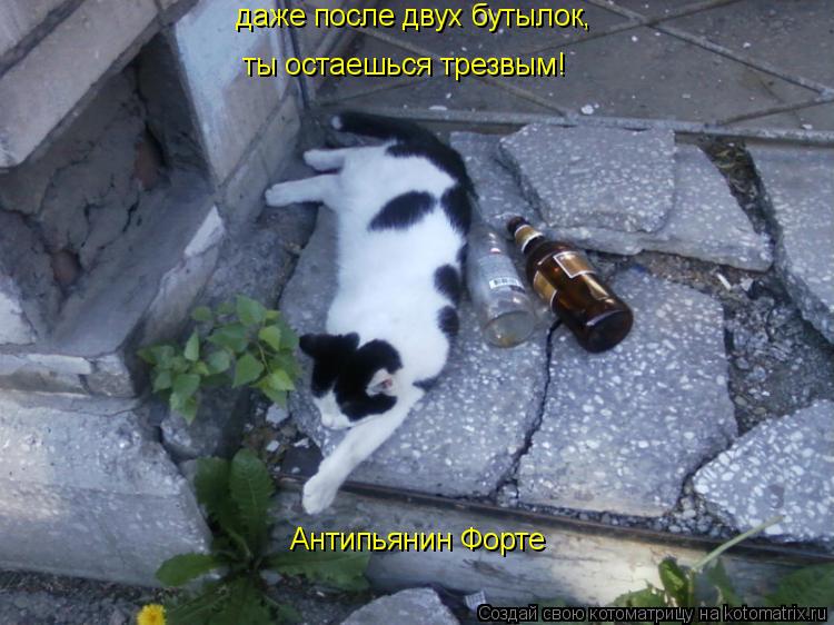 даже после двух бутылок, ты остаешься трезвым! Антипьянин Форте... Котоматрица: даже после двух бутылок, ты остаешься трезвым! Антипьянин Форте