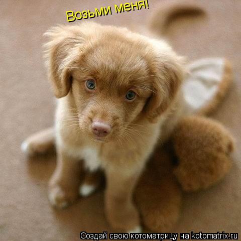 Возьми меня!... Котоматрица: Возьми меня!