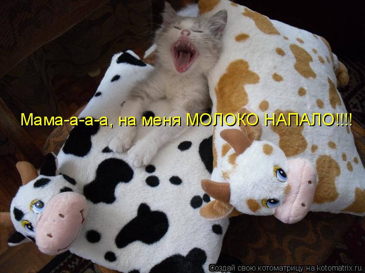 Мама-а-а-а, на меня МОЛОКО НАПАЛО!!!!... Котоматрица: Мама-а-а-а, на меня МОЛОКО НАПАЛО!!!!