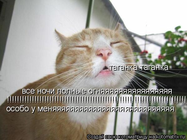 таганка таганка все ночи полные огняяяяяяяяяяяяяяяя !!!!!!!!!!!!!!!!!!!!!!!!!!!!!!!!!!!!!!!!!!!!!!!!!... Котоматрица: таганка таганка все ночи полные огняяяяяяяяяяяяяяяя !!!!!!!!!!!!!!!!!!!!!!!!!!!!!!!!!!!!!!!!!!!!!!!!!!!!!!!!!!!!!!!!!!!!!!!! особо у меняяяяяяяяяяяяяя